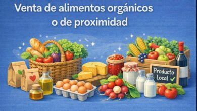 Venta de alimentos orgánicos o de proximidad: una oportunidad de negocio saludable, sostenible y en crecimiento