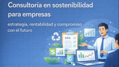 Consultoría en sostenibilidad para empresas: estrategia, rentabilidad y compromiso con el futuro